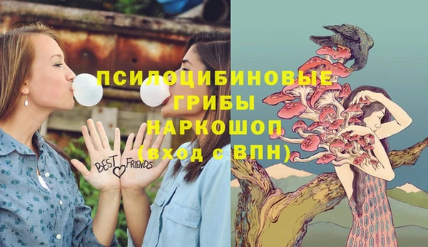 альфа пвп Богданович