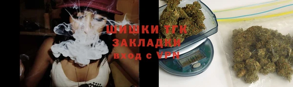 не бодяженный Бородино