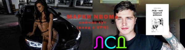 твердый Богородск