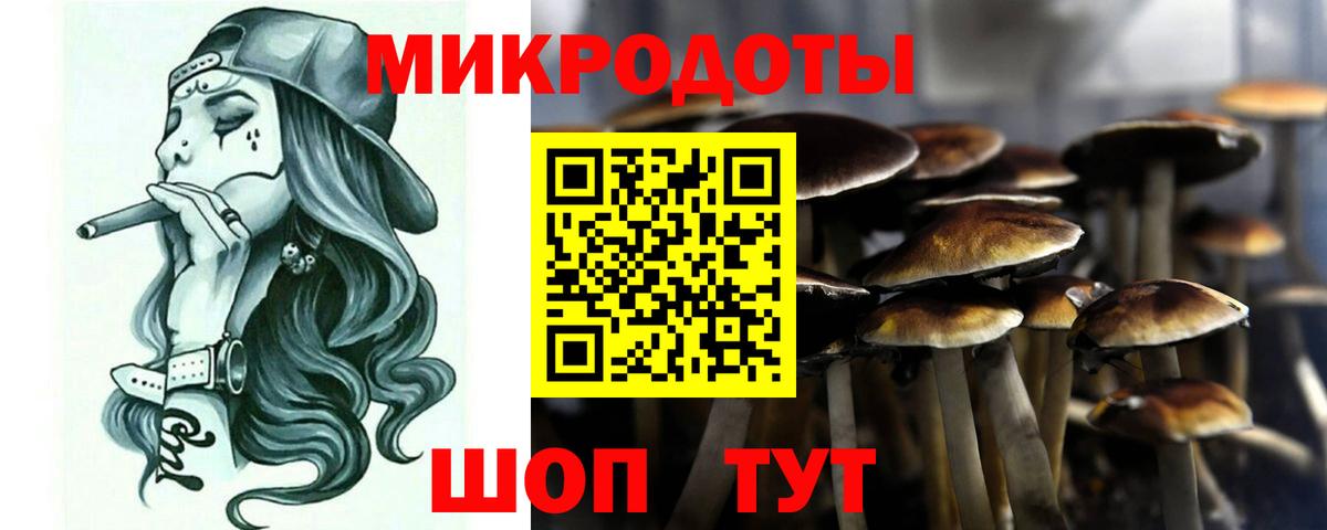 Псилоцибиновые грибы GOLDEN TEACHER Рыбинск
